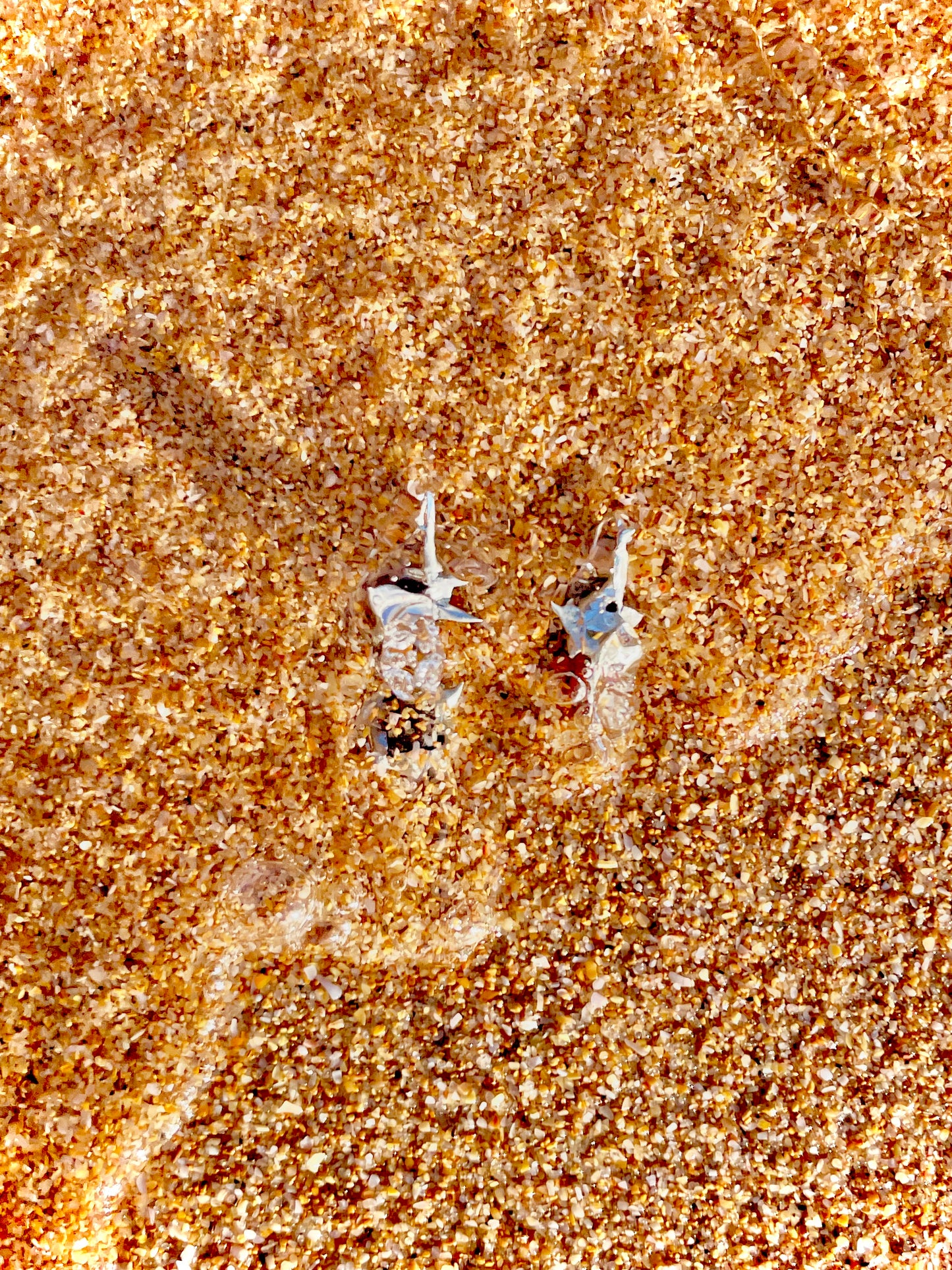 Earrings - Amber Stars