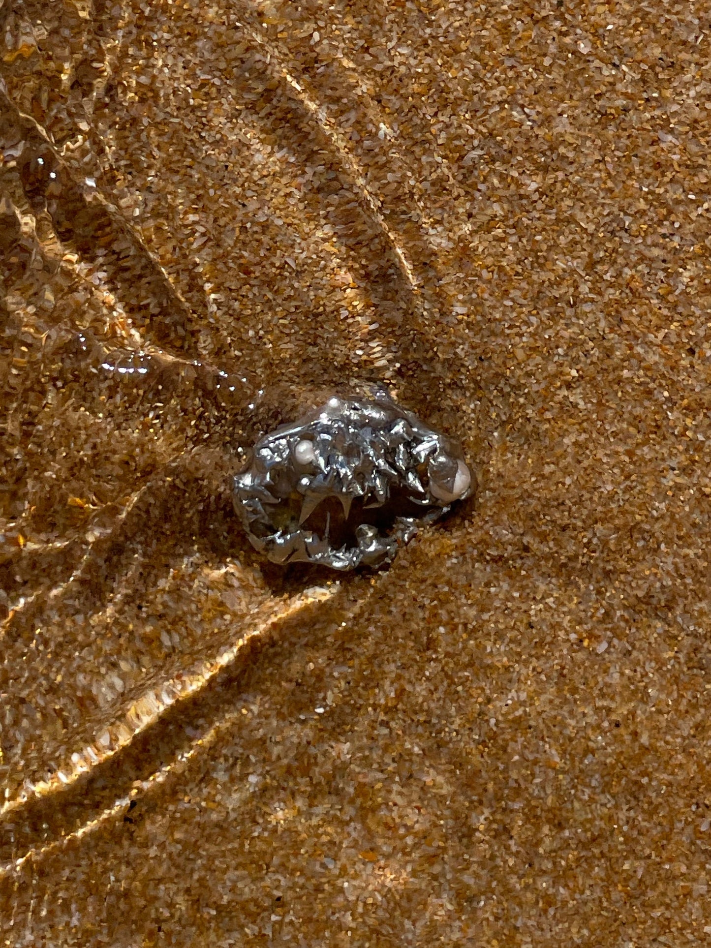 Ring – Venus Bite