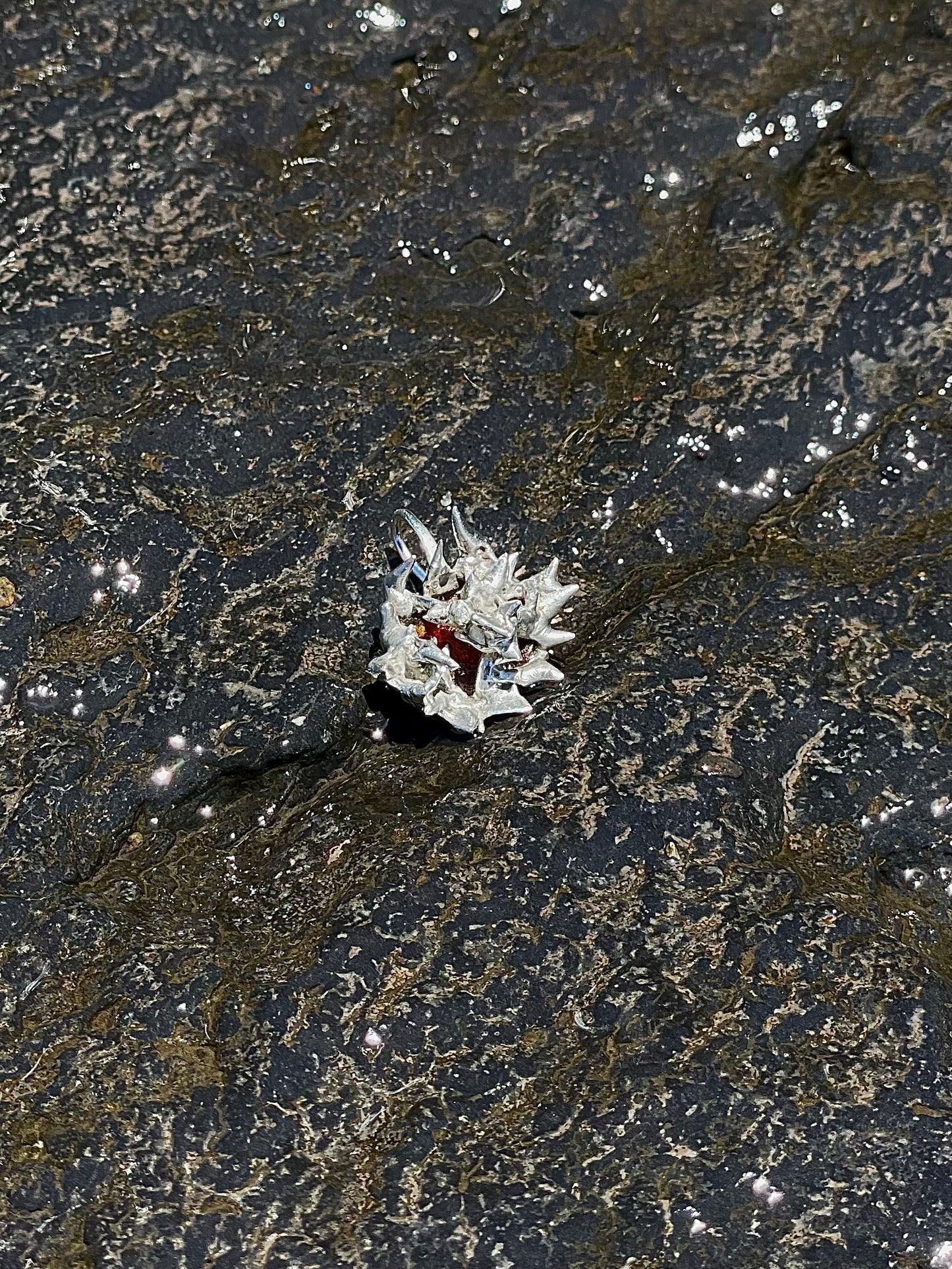Dangling Earring, Sea Urchin