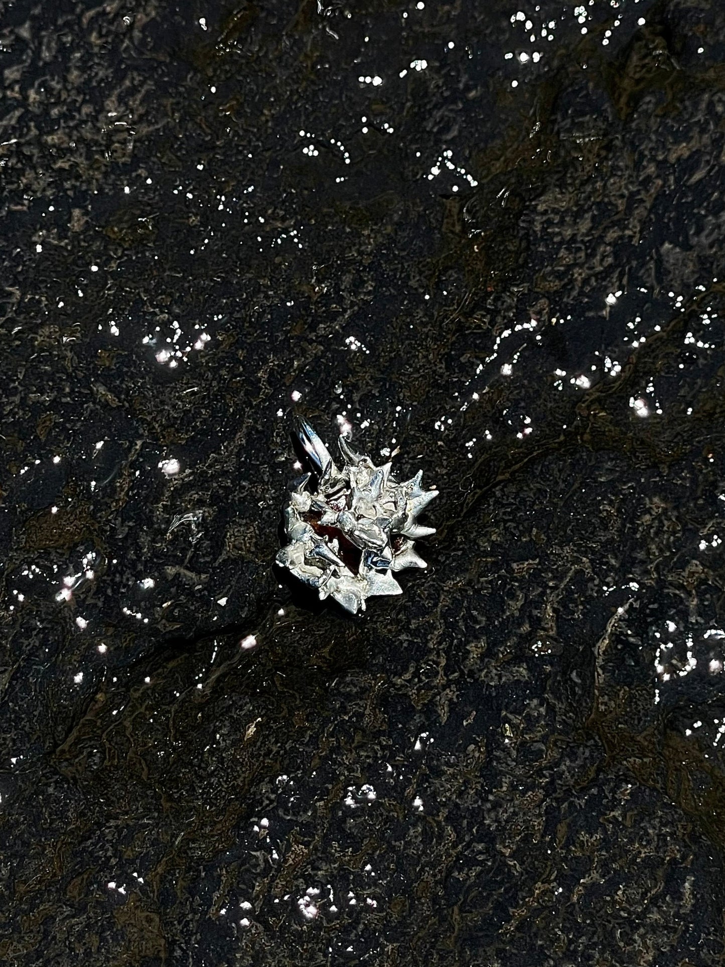 Dangling Earring, Sea Urchin