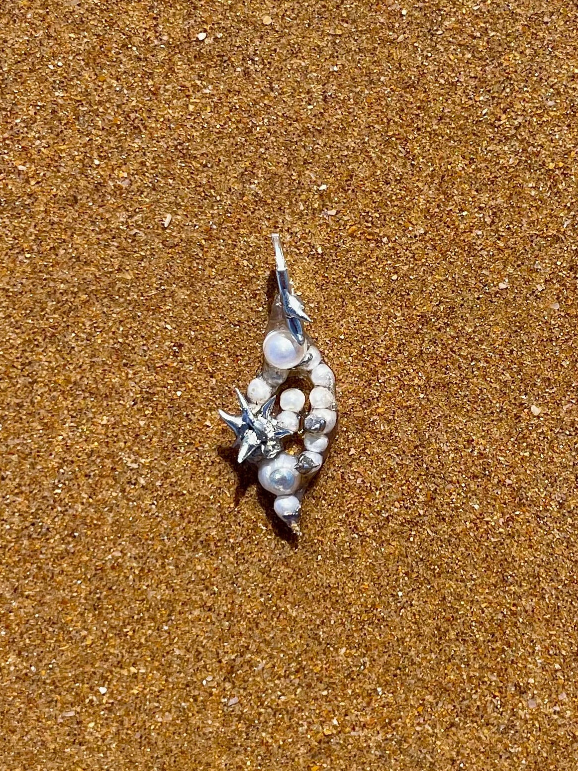 Dangling Earring, Solumbellula