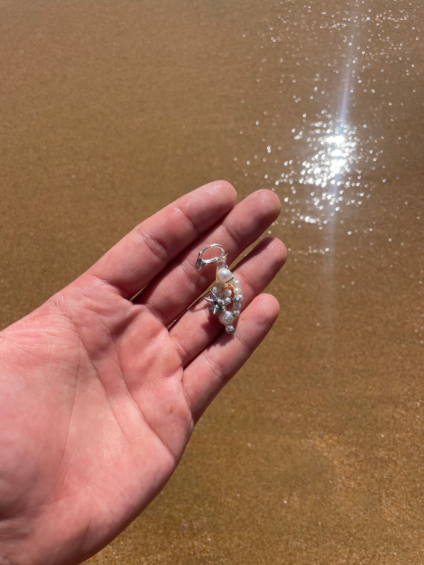 Dangling Earring, Solumbellula